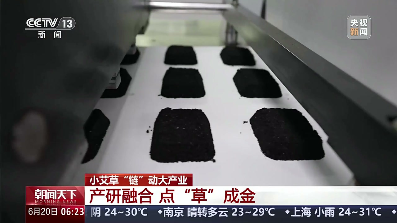央视新闻报道画面：新型艾灸贴智能化生产线