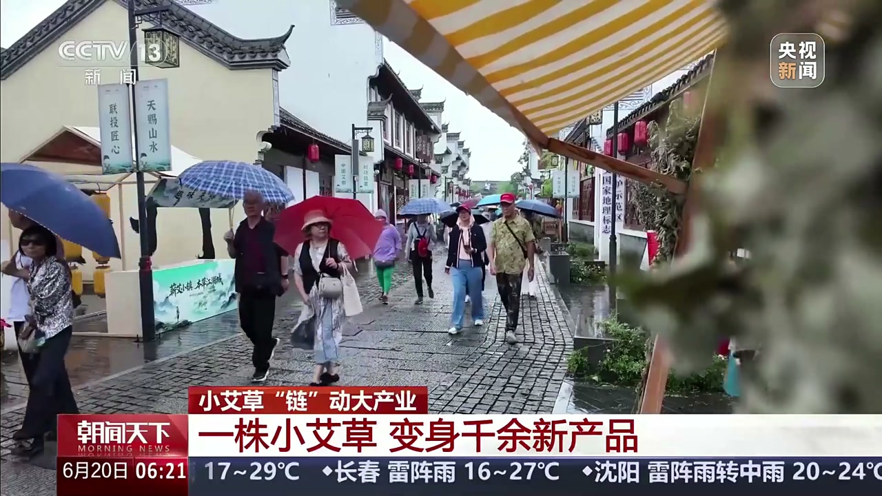 央视新闻报道画面：端午前蕲春艾草消费街区