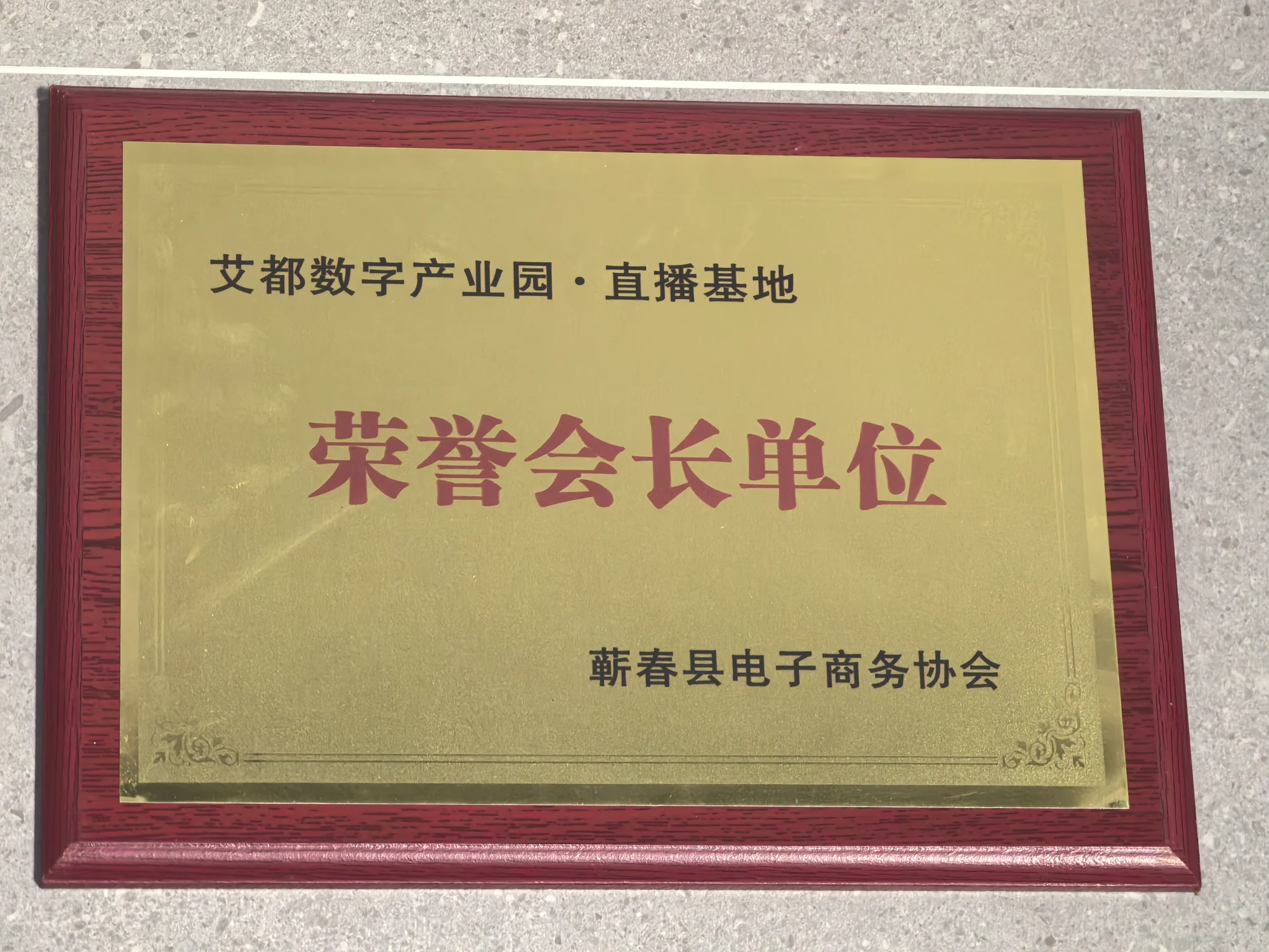 荣誉会长单位，牌匾照片