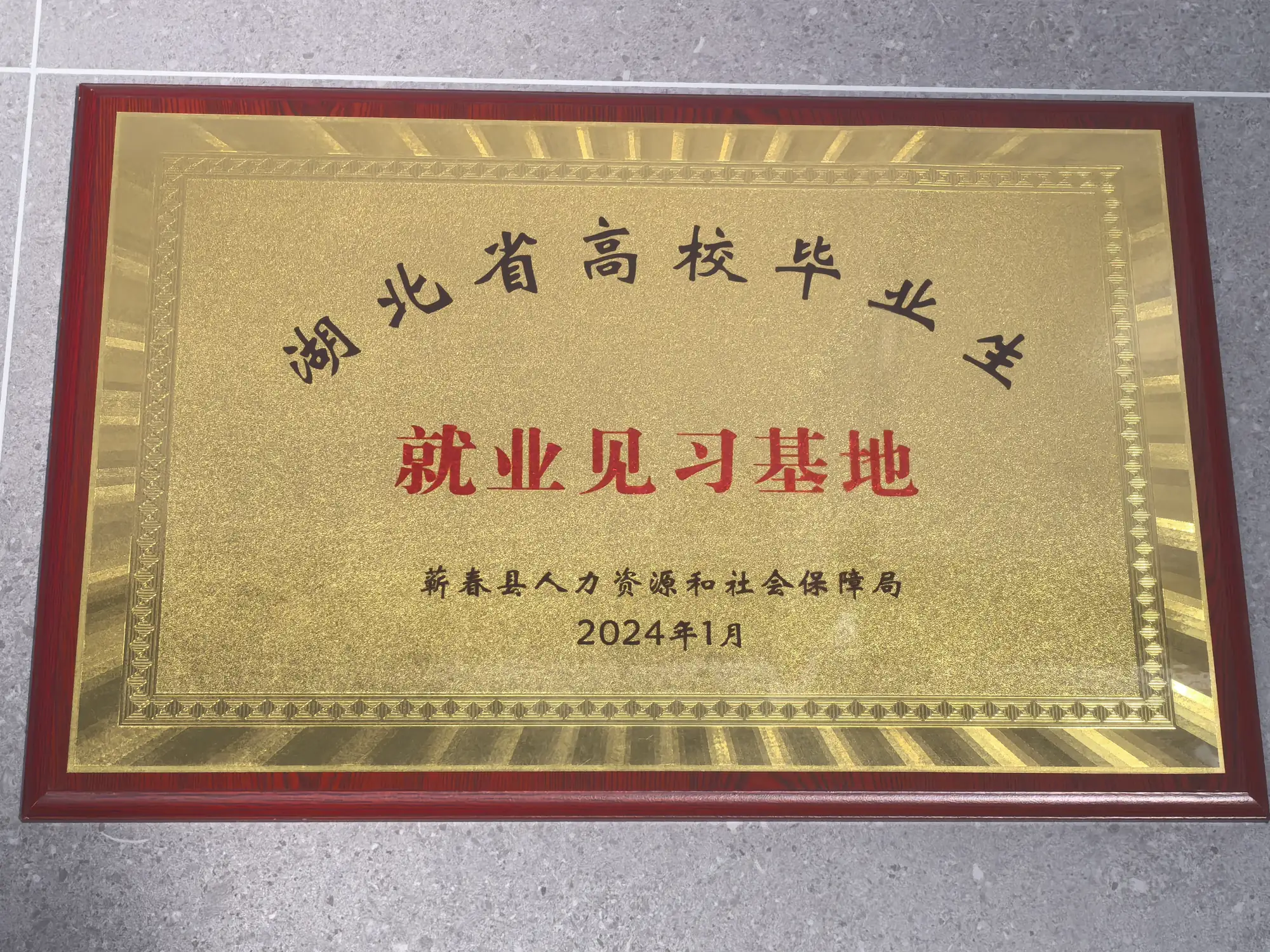 湖北省高校毕业生就业见习基地，牌匾照片