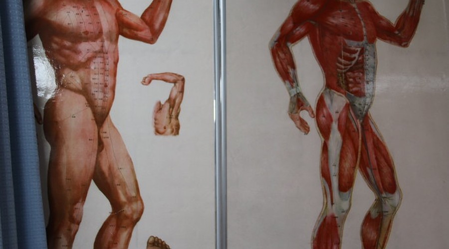 艾灸常用穴位完全指南：足三里、关元、神阙等核心穴位详解配图 1