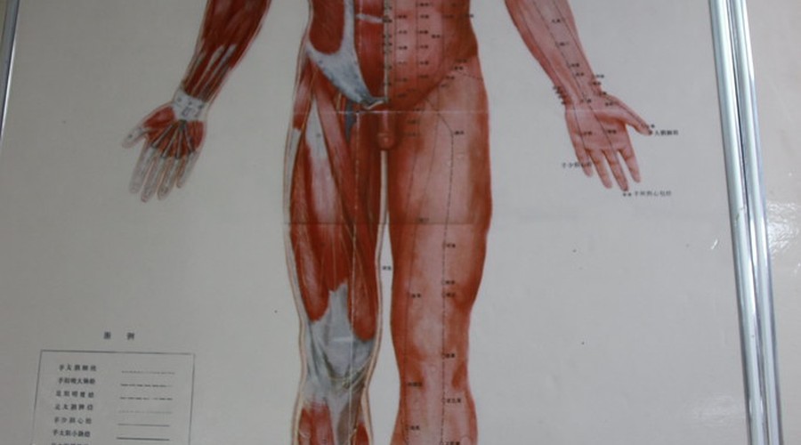 艾灸常用穴位完全指南：足三里、关元、神阙等核心穴位详解配图 2