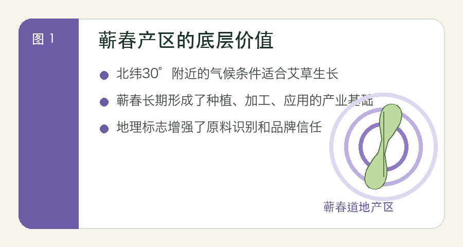 蕲春艾草凭什么冠绝全国？