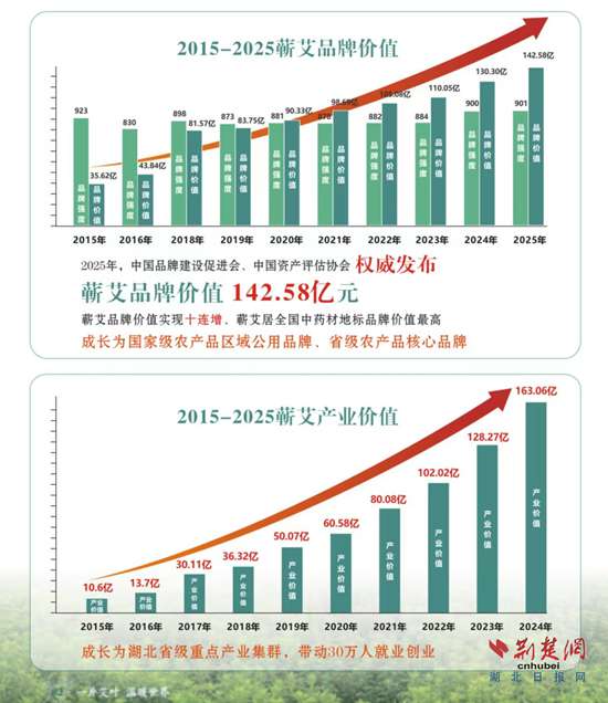 解码蕲艾品牌价值十连涨的产业升级样本