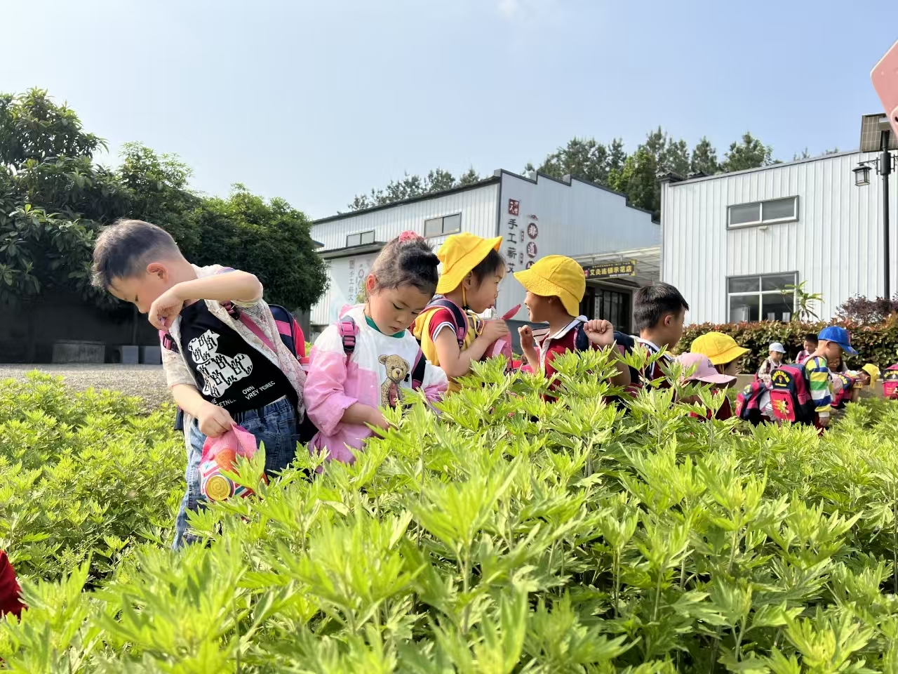 金融活水润艾草公开原图 2