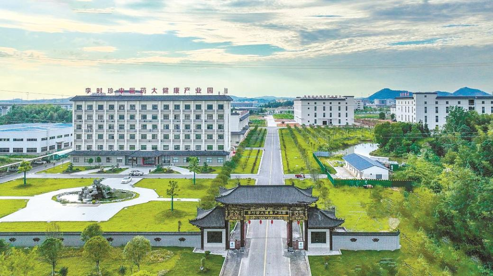 长江网关注蕲艾供应链：公开报道里的价值升级信号