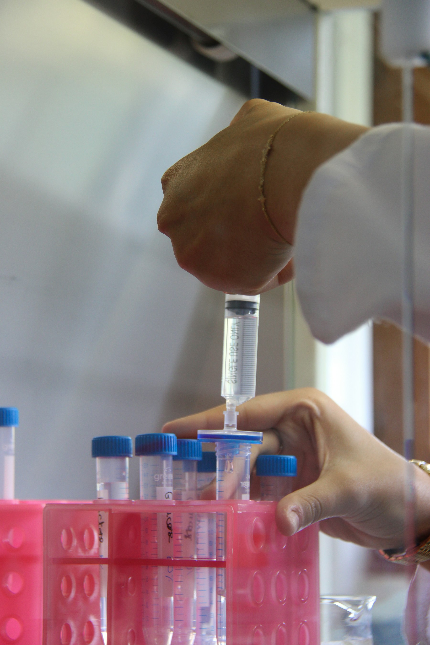 人民网关注蕲春艾灸师：公开报道里的就业与品牌信号