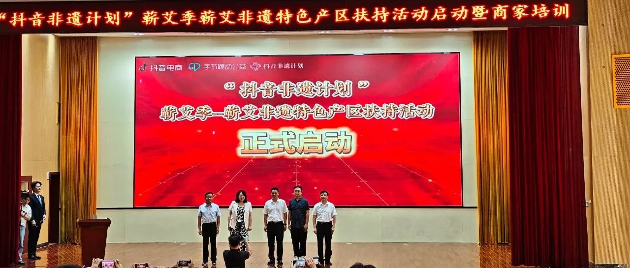 湖北蕲艾供应链品牌体系与产品矩阵