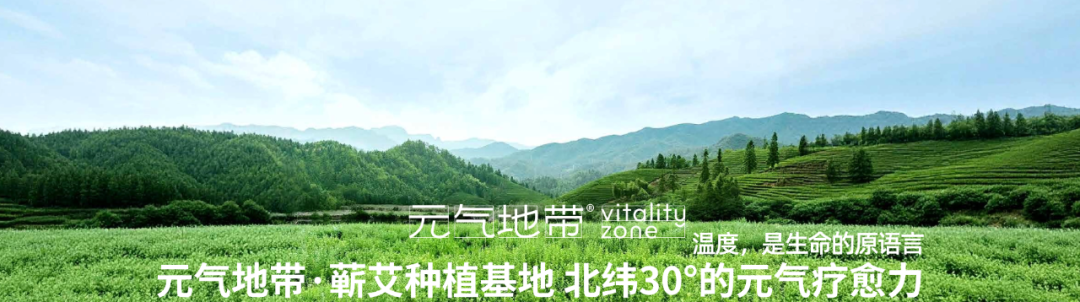 中南民族大学经济学院师生走进湖北蕲艾供应链智能工厂配图02