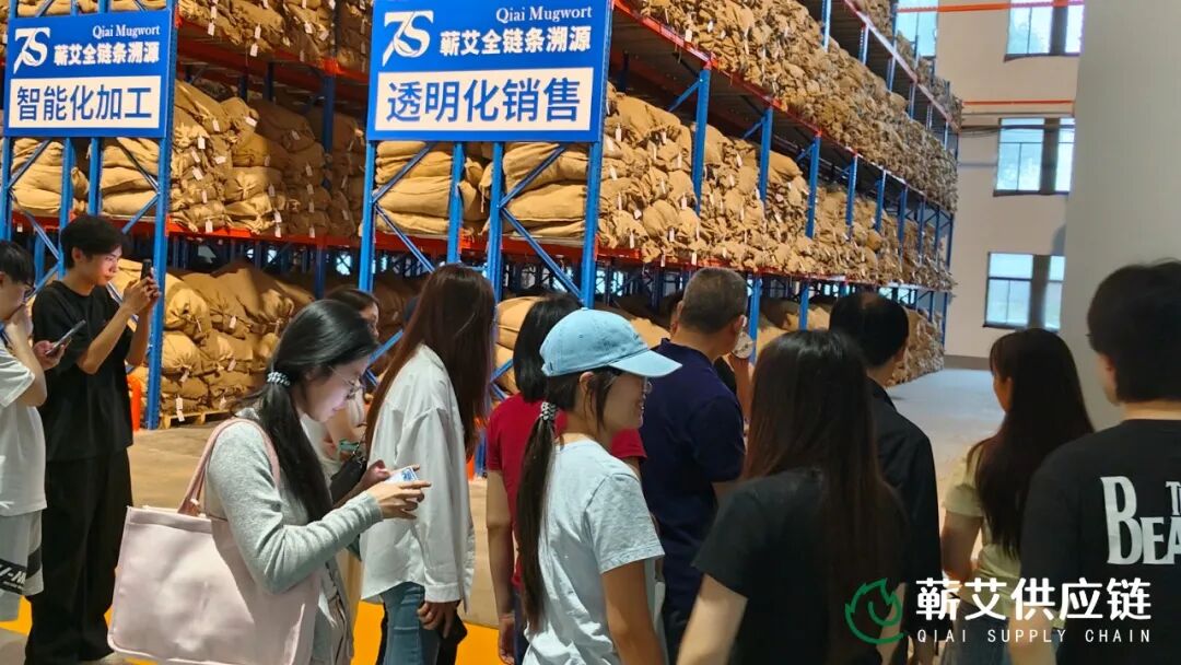 中南民族大学经济学院师生走进湖北蕲艾供应链智能工厂配图05