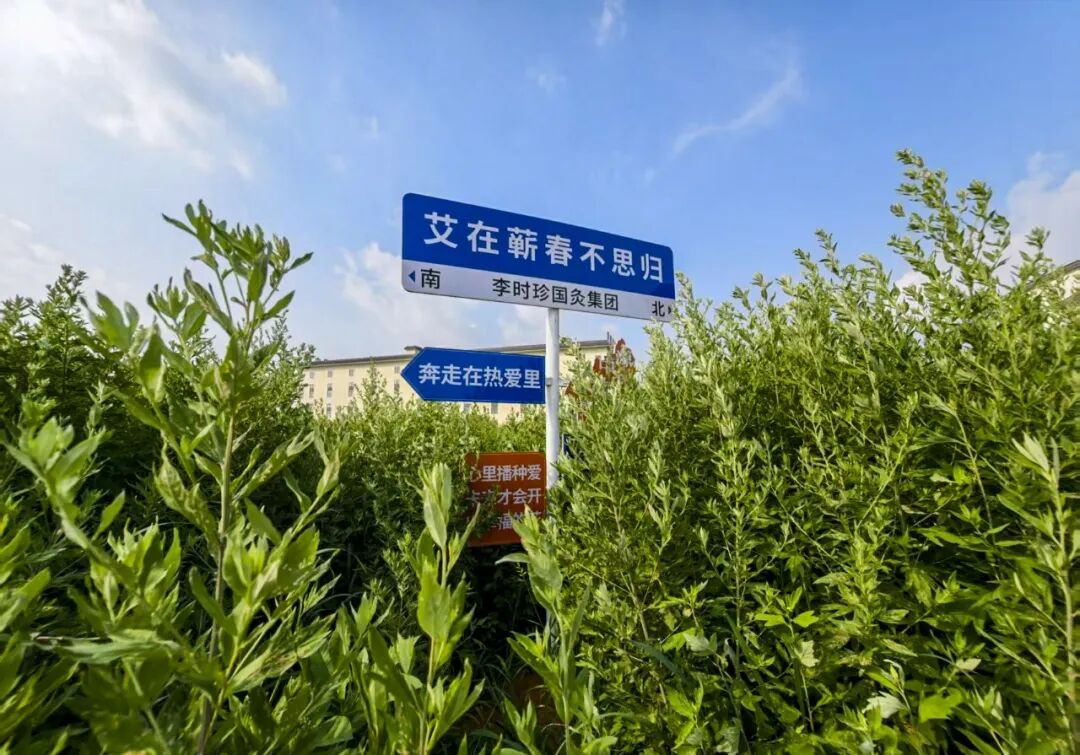 光影聚焦蕲艾产业 镜头助力乡村振兴——省市县三级摄协组织创作小分队深入蕲春开展主题采风活动