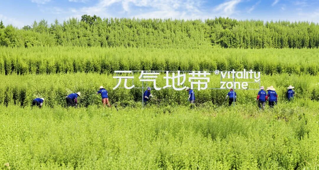 光影聚焦蕲艾产业 镜头助力乡村振兴——省市县三级摄协组织创作小分队深入蕲春开展主题采风活动配图02