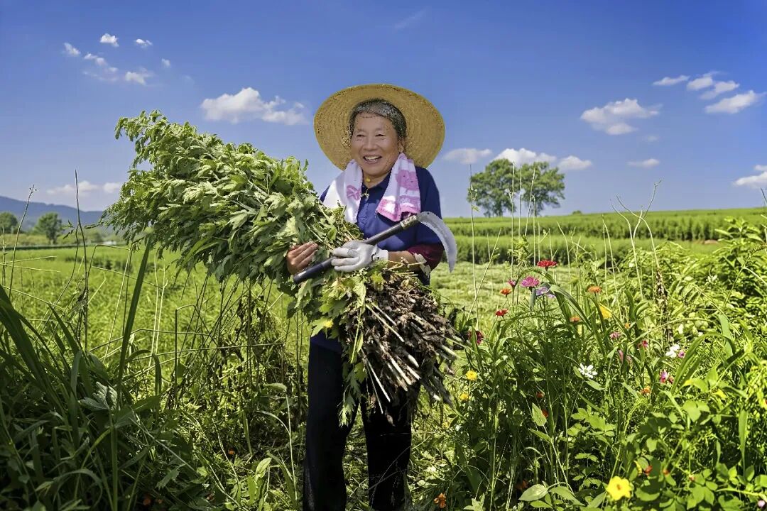 光影聚焦蕲艾产业 镜头助力乡村振兴——省市县三级摄协组织创作小分队深入蕲春开展主题采风活动配图03