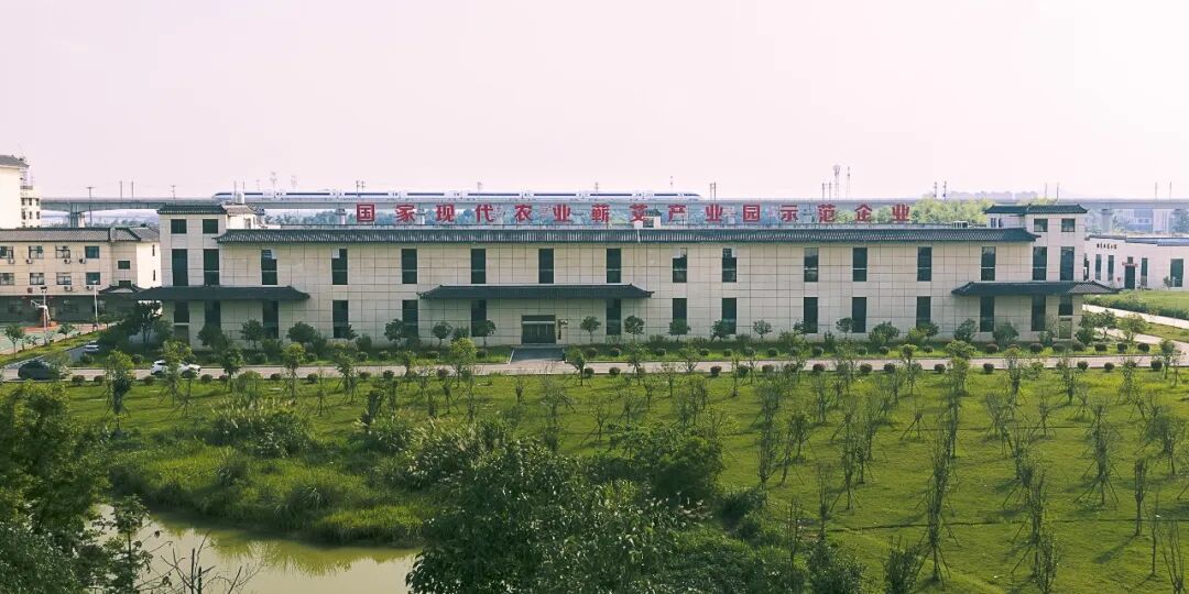 光影聚焦蕲艾产业 镜头助力乡村振兴——省市县三级摄协组织创作小分队深入蕲春开展主题采风活动配图09