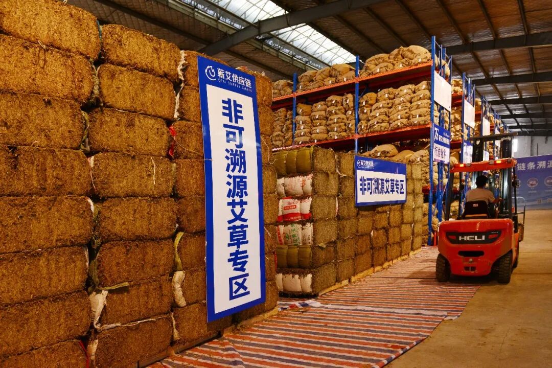 光影聚焦蕲艾产业 镜头助力乡村振兴——省市县三级摄协组织创作小分队深入蕲春开展主题采风活动配图12