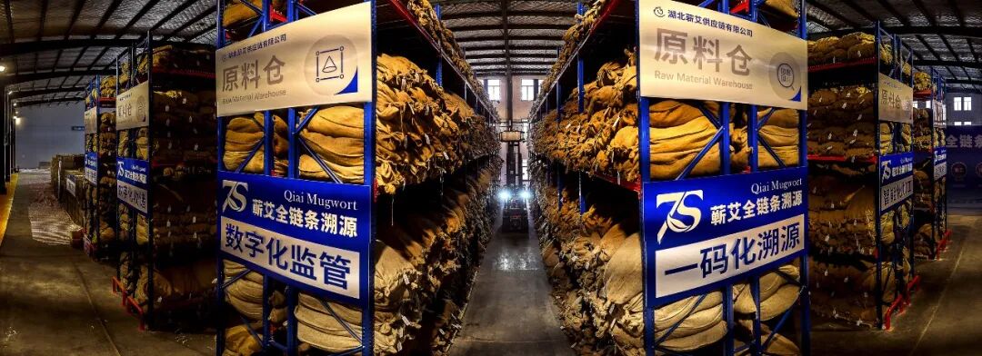 光影聚焦蕲艾产业 镜头助力乡村振兴——省市县三级摄协组织创作小分队深入蕲春开展主题采风活动配图13