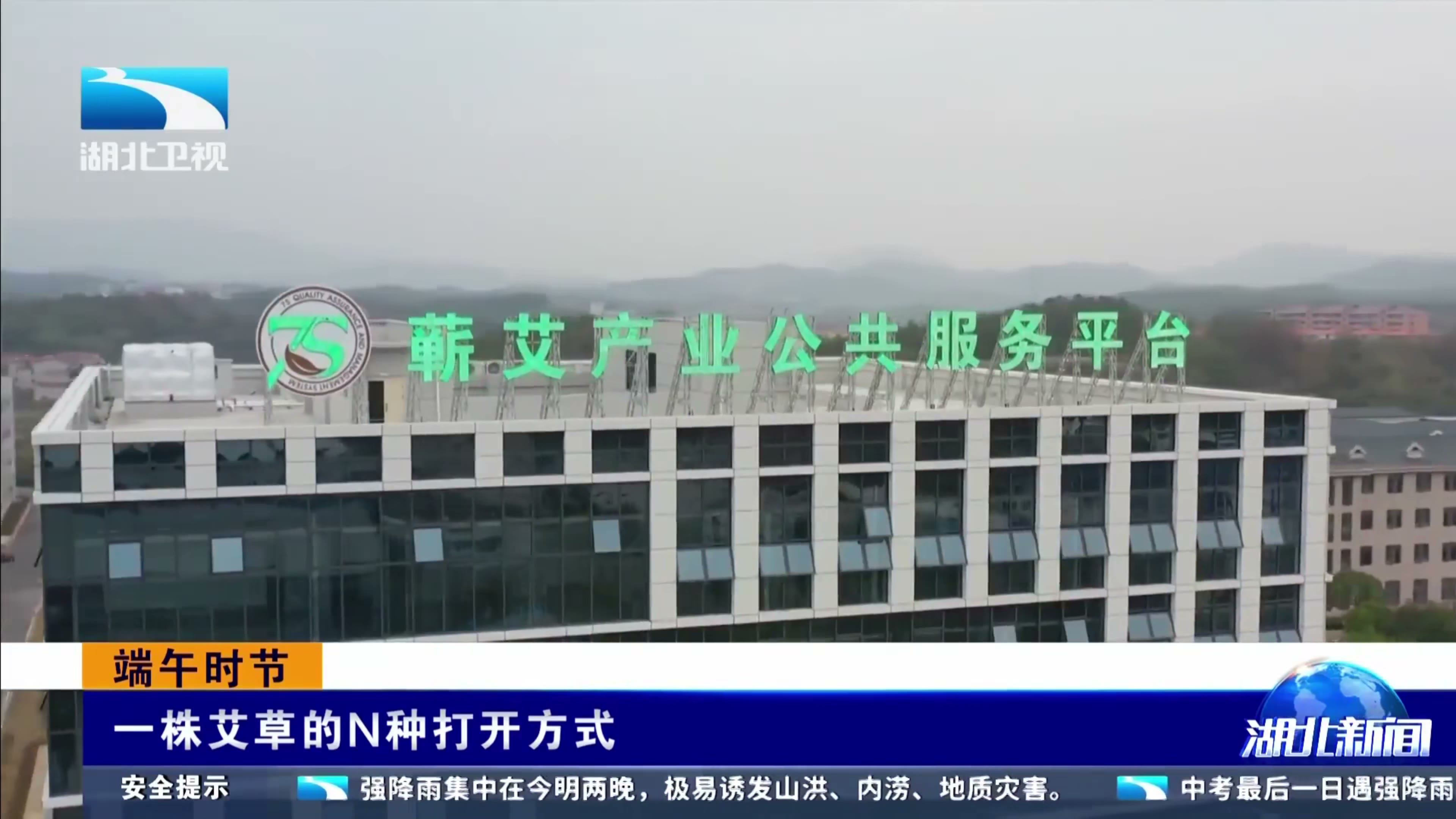 一包艾叶为什么有“身份证”？湖北卫视走进蕲艾供应链