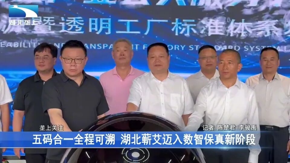 湖北垄上报道画面：蕲艾透明工厂标准体系相关画面