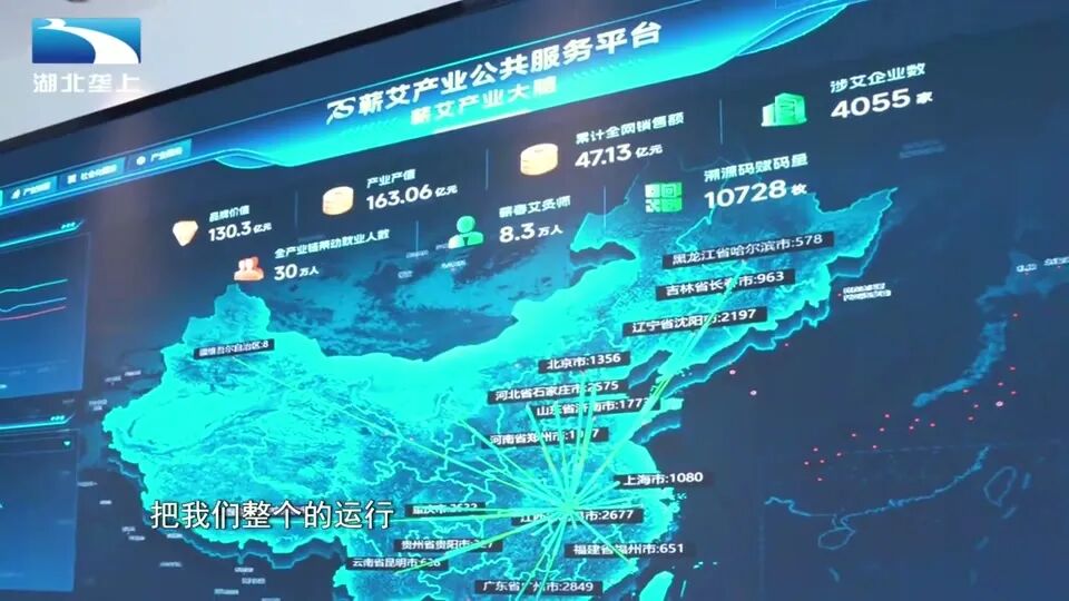 湖北垄上报道画面：蕲艾产业数字大脑