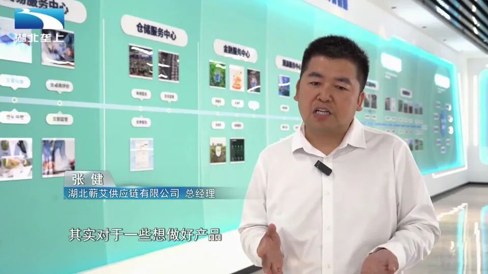湖北垄上报道画面：湖北蕲艾供应链有限公司总经理张健接受采访
