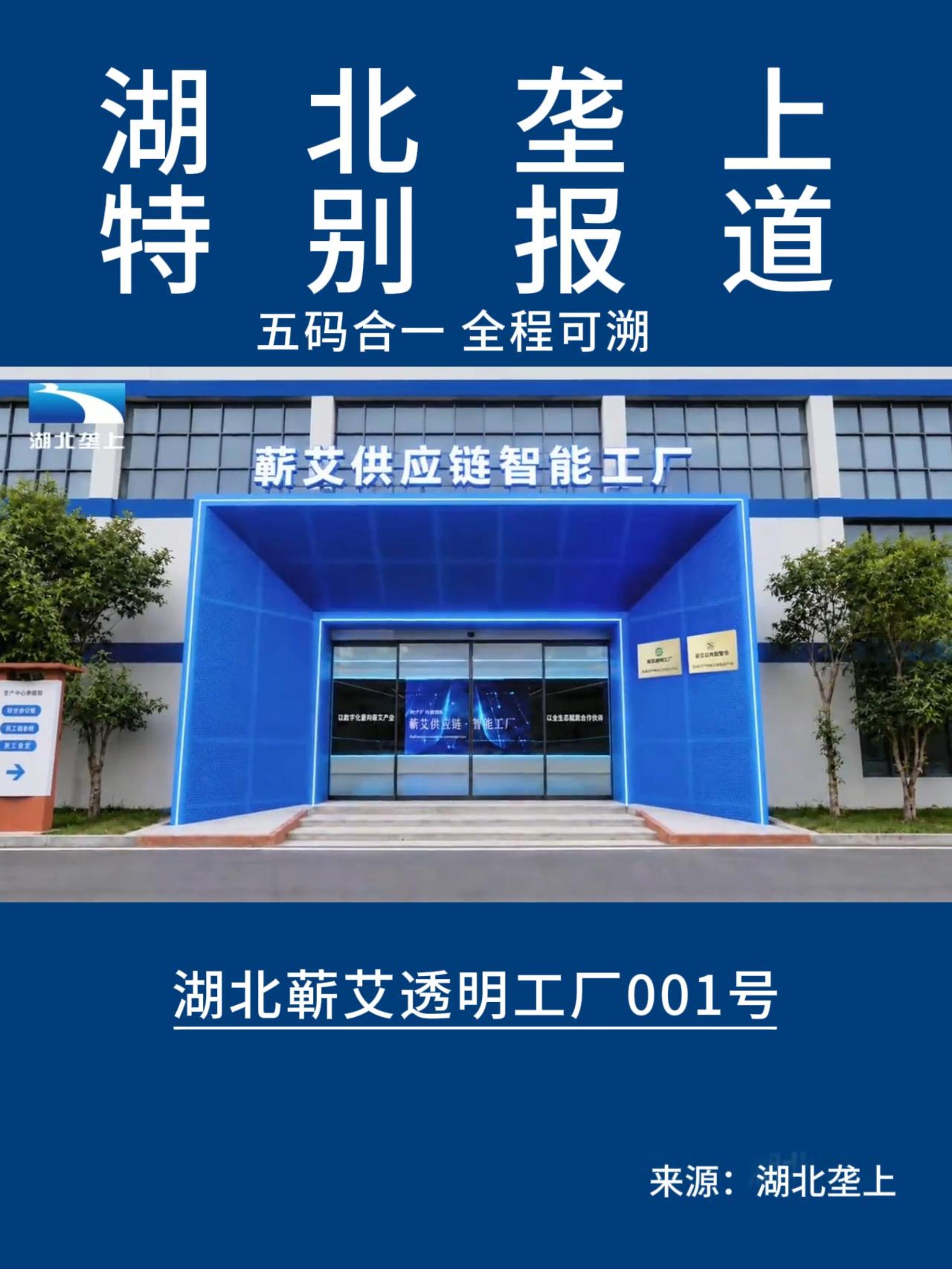 湖北垄上关注蕲艾数智保真：走进全国首家蕲艾透明工厂001号