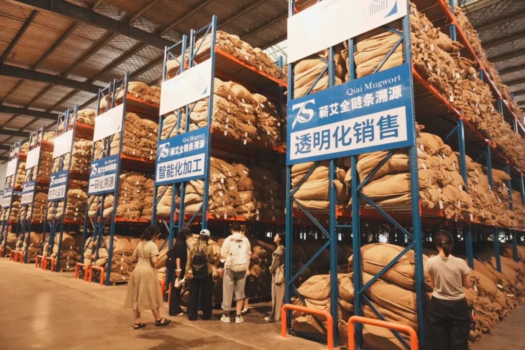 实践队参观蕲艾原料仓储区域