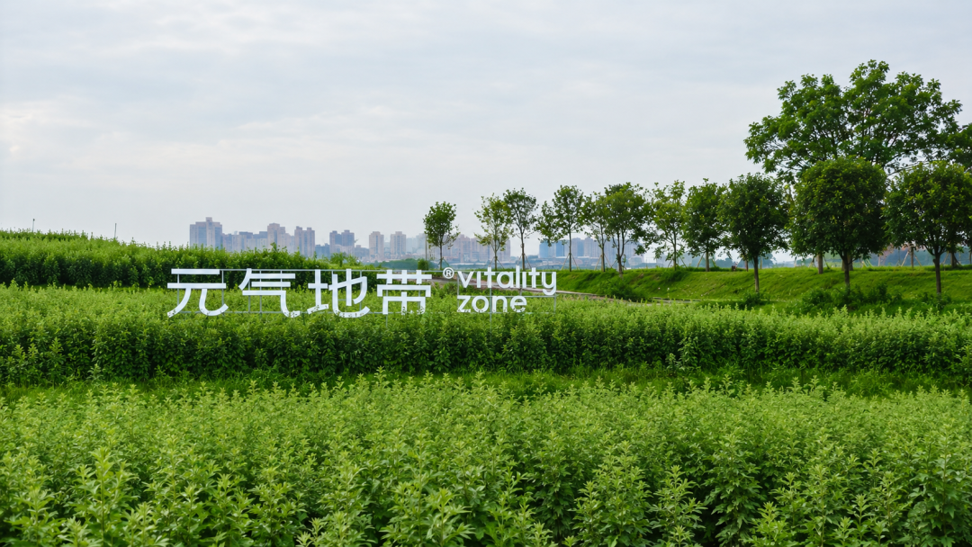company-news-20260809-qiai-standard-transformation 配图 01