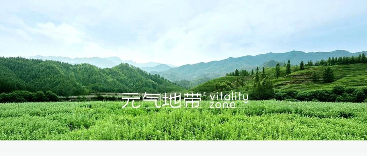 世界读书日，我们读一本长在北纬30度的畅销书
