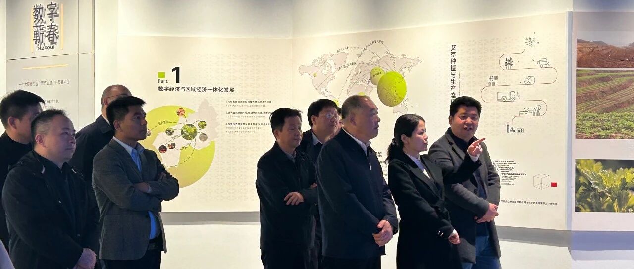 陈丹县长和长江投资一行莅临蕲艾供应链考察