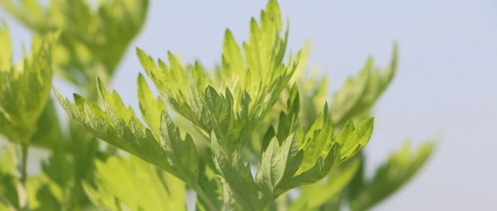 流感高发，预防流感小妙招赶紧收藏起来