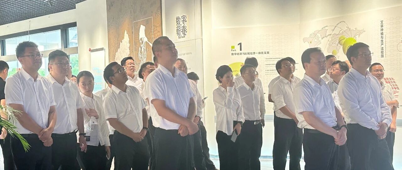 石首市委书记王敏一行莅临艾都直播基地考察指导，点赞数字化赋能蕲艾产业